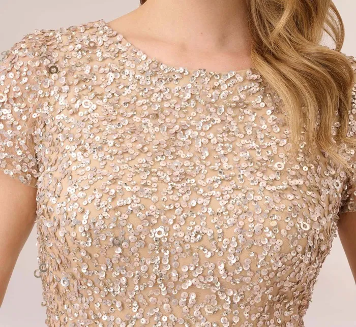 Adrianna Papell Formal Dresses Scoop Back Sequin Gown In Champagne 8211 Women