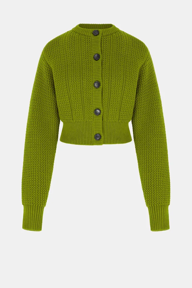 Albert Knit In Green Cashfeel Women Knitwear Emilia Wickstead