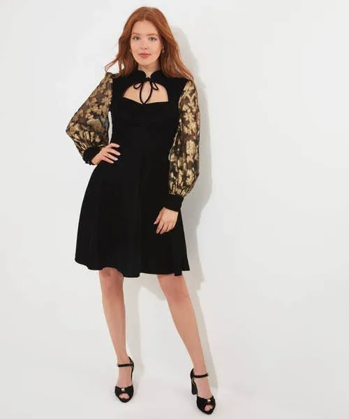 Apparel Celeste Velvet Dress Black Dresses Joebrowns Apparel Celeste Velvet Dress Black Dresses Joebrowns
