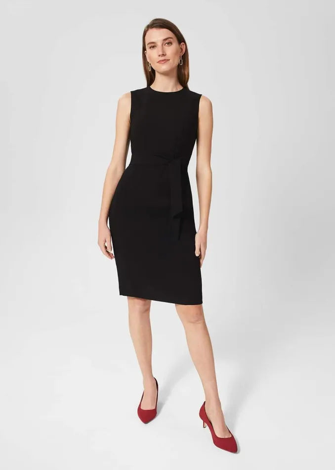 Dresses and Jumpsuits Women HOBBS Petite Mel Dress Black
