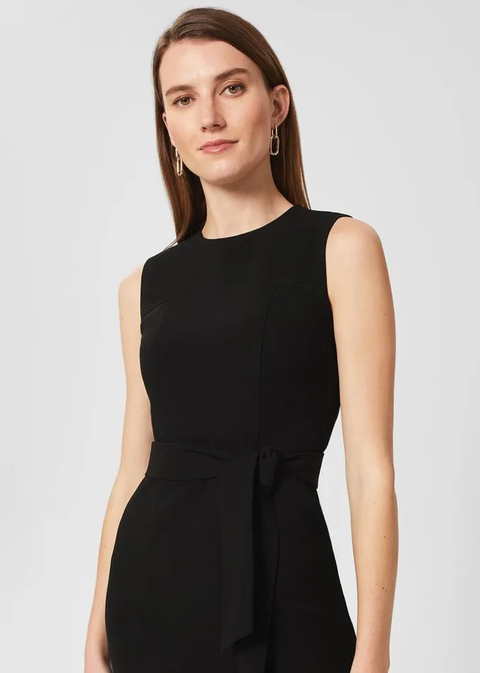 Dresses and Jumpsuits Women HOBBS Petite Mel Dress Black