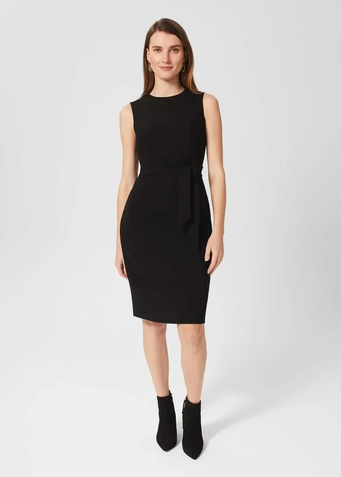 Dresses and Jumpsuits Women HOBBS Petite Mel Dress Black