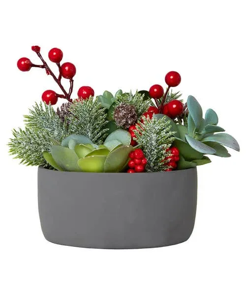 Home Accessories Tis The Season Succulent Red Joebrowns Homeware