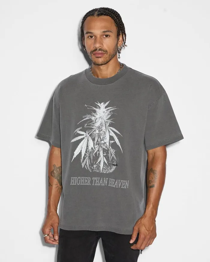 Ksubi Cannabis Ekcess Ss Tee Charcoal Mens TShirts