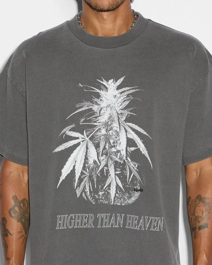 Ksubi Cannabis Ekcess Ss Tee Charcoal Mens TShirts
