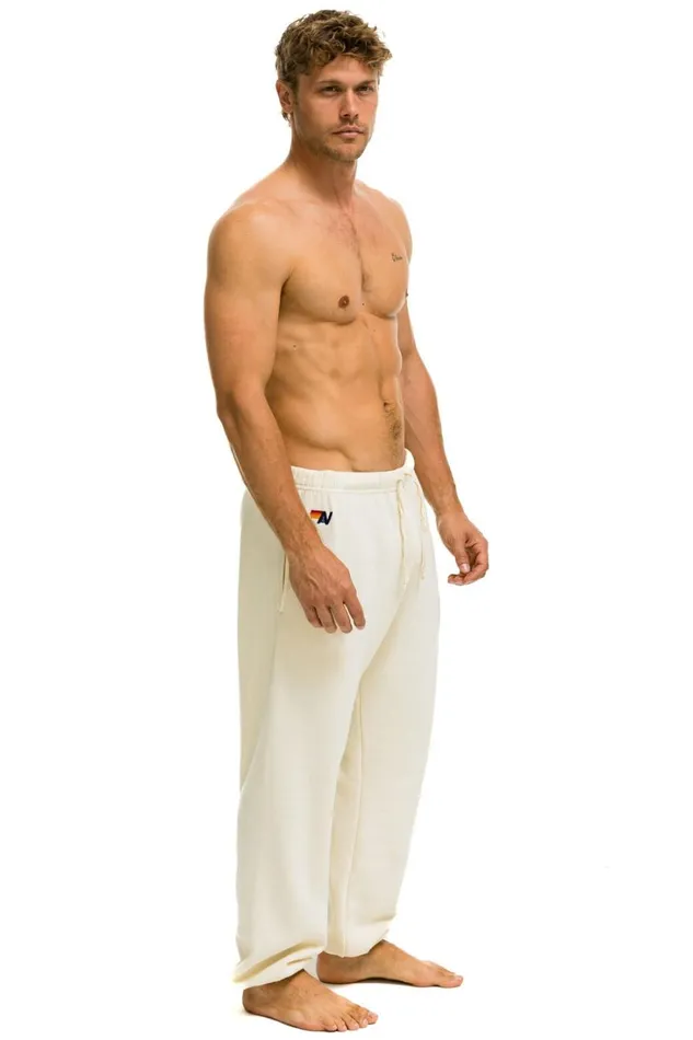 Men Bottoms Aviator Nation 5 STRIPE SWEATPANTS 8211 VINTAGE WHITE GREY
