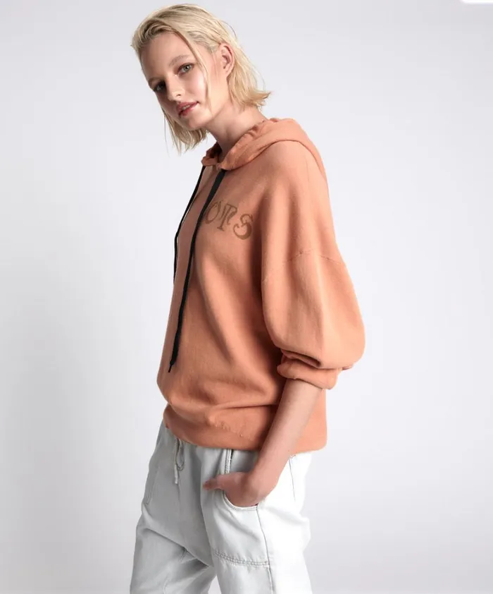One Teaspoon Hoodies And Sweats OTS RECOVERY HOODY BROWN 8211 Women
