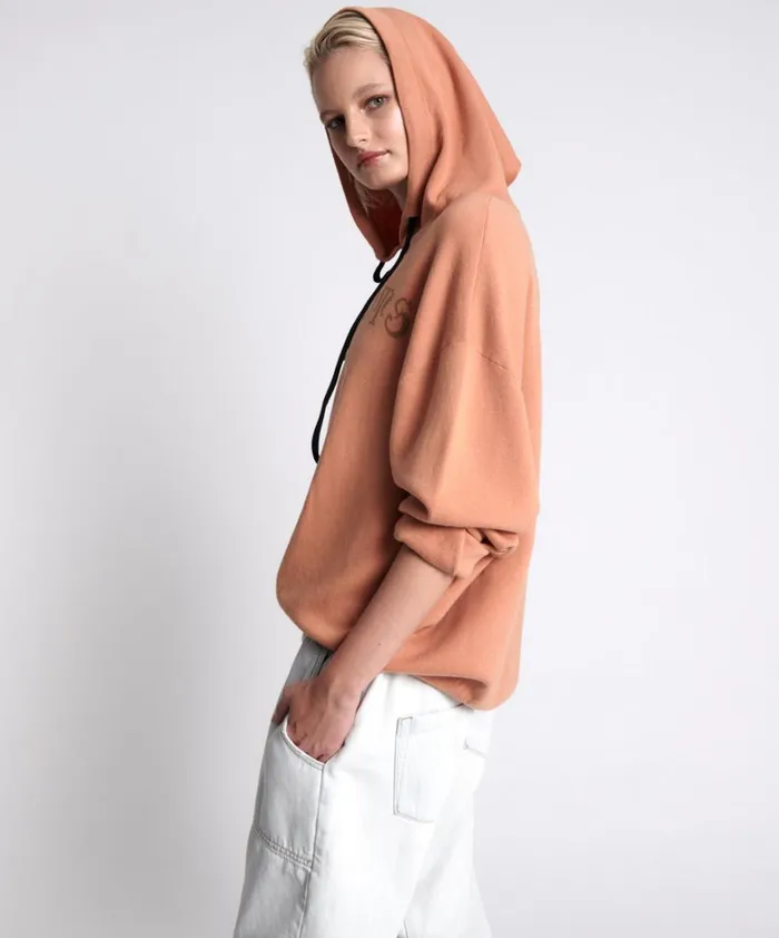One Teaspoon Hoodies And Sweats OTS RECOVERY HOODY BROWN 8211 Women
