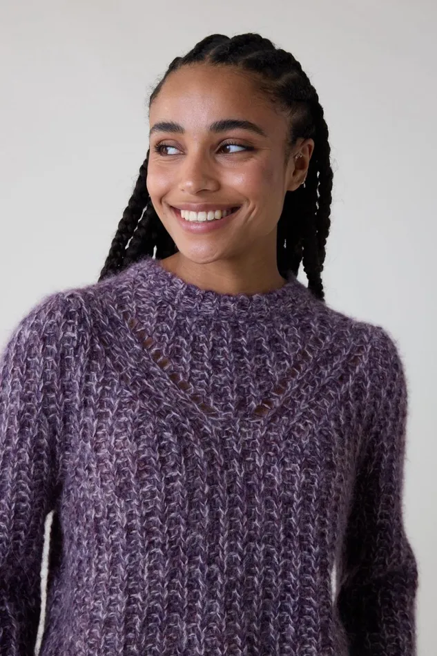 Pulls and Vests Women Leon and Harper Mitzi Mix Jumper Purple