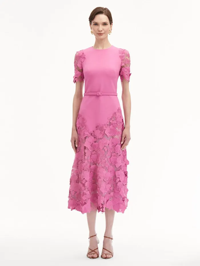 Women Dresses Oscar De La Renta Orchid Guipure Lace Inset Dress Rosehip Women Dresses Oscar De La Renta Orchid Guipure Lace Inset Dress Rosehip