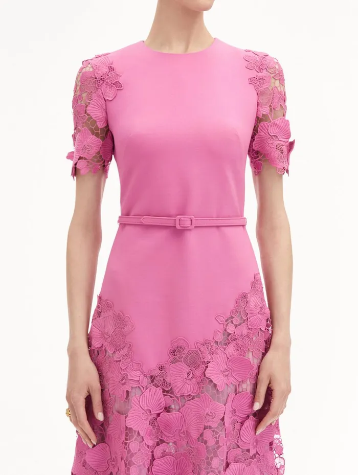 Women Dresses Oscar De La Renta Orchid Guipure Lace Inset Dress Rosehip Women Dresses Oscar De La Renta Orchid Guipure Lace Inset Dress Rosehip
